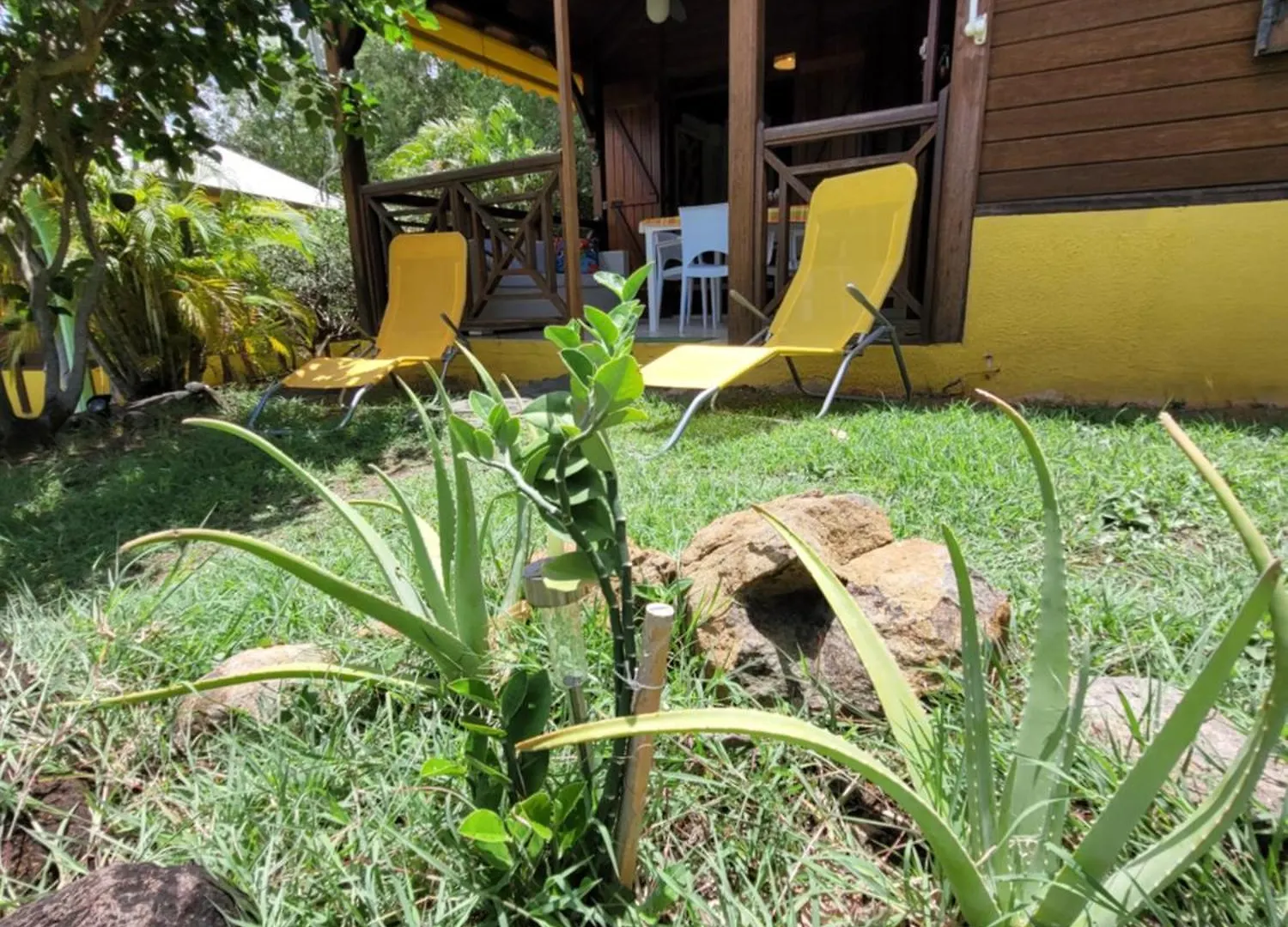 Guest house Cottage La Pointe Marine Deshaies Guadeloupe